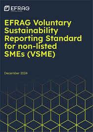 Pracujemy dla  EFRAG VSME Community